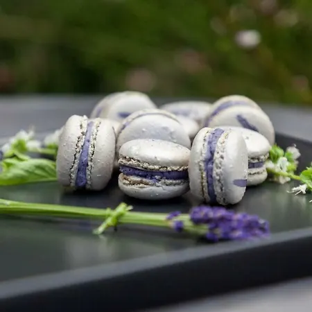 Horse & Jockey فندق 4*