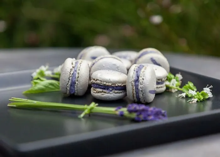 Horse & Jockey Отель 4*